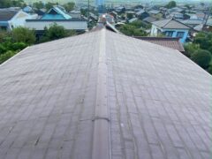 東浦町 杉野様邸 (1)R 右 施工前