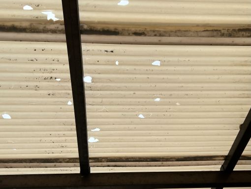 20250331 大府市 加藤邸 現調 (9)R施工前