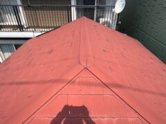 20250326 半田市 後藤邸 現調 (62)R施工前