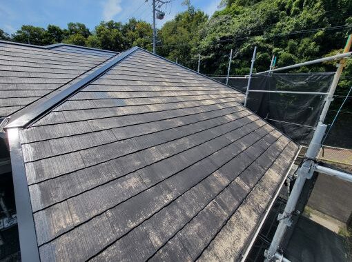 20250802_104514R施工前