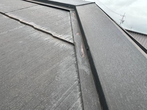 20250510 東浦町 中本邸 現調 (6)R施工前