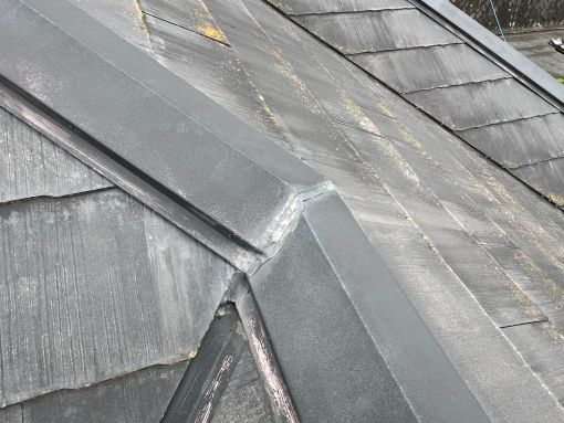 20250510 東浦町 中本邸 現調 (5)R施工前