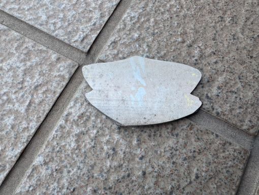 202505 東海市 鳥羽邸 現調 (3)R施工前